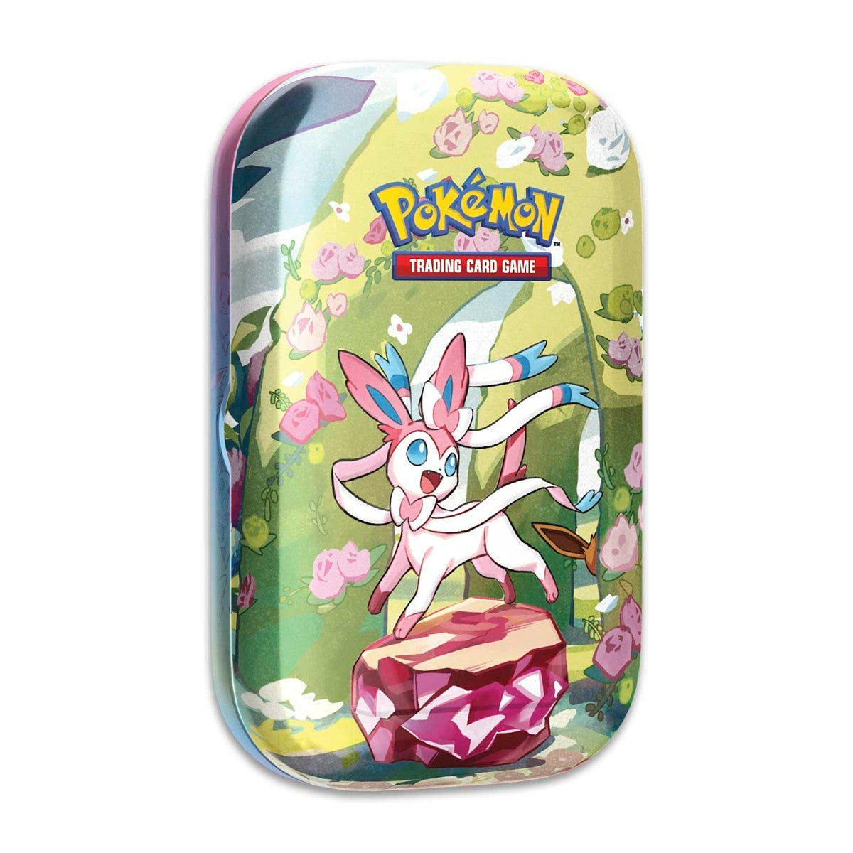 Pokémon Subscription - Suprise Box